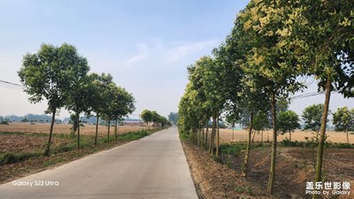 【鏡頭里的夏天】+夏日鄉(xiāng)村