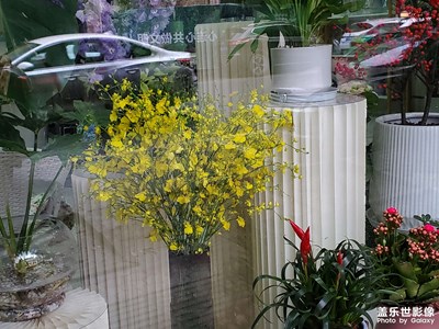 【泛著光的生活】+美好生活