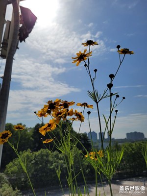 【留住精彩】用手機(jī)留住精彩