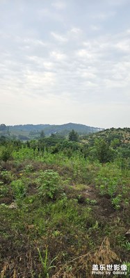 【留住精彩】+農(nóng)村游隨拍