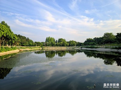 是不是仰望摩天輪 就可以仰望幸福