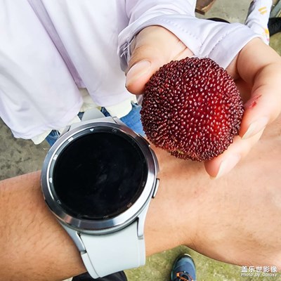 【留住精彩】+夏日果園