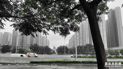 輸入文字老是提示敏感