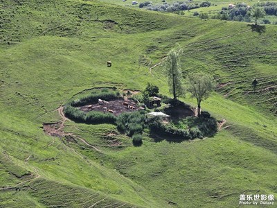 【鏡頭里的夏天】鏡頭里的草木山川