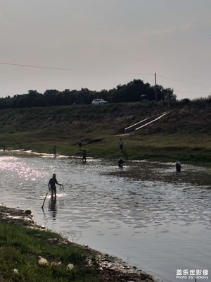 端午節(jié)捉魚啦，快來(lái)哈??