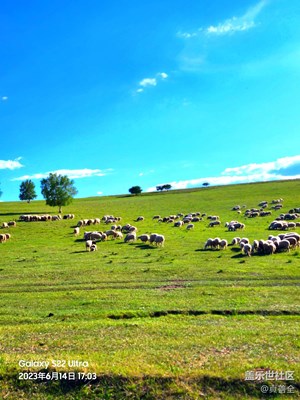 烏蘭布統(tǒng)草原