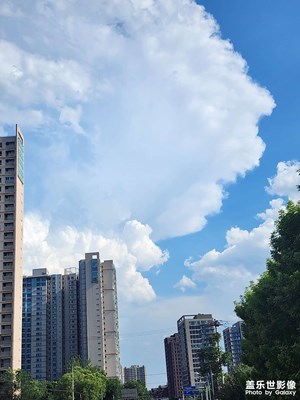 【鏡頭里的夏天】盛夏