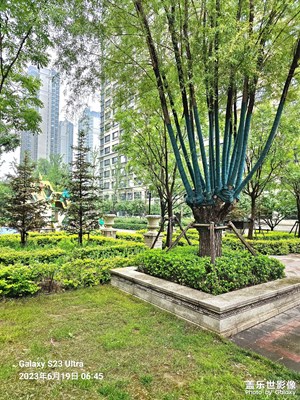 咱也來展示展示