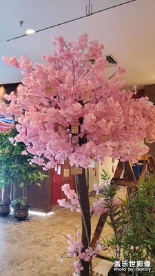 【夏日好時光】+夜游商場