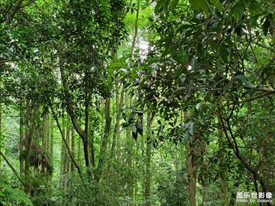 【夏日好時光】公園