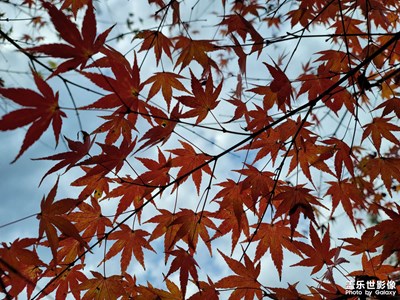 有些事可以忘記，但不是放下