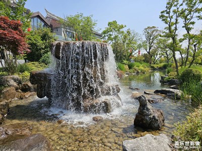 【把快樂塞進相冊里】+陽光明媚