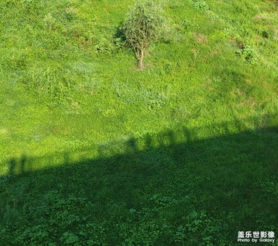 灼熱的夏日，有趣的靈魂