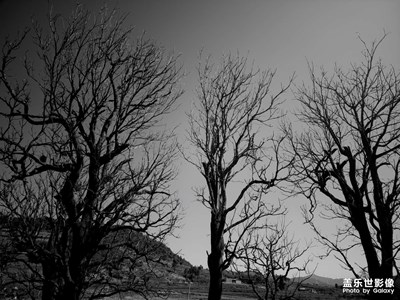 【把快樂(lè)塞進(jìn)相冊(cè)里】生活瑣碎