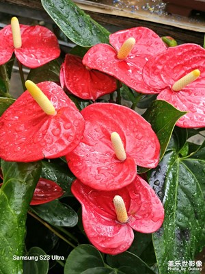 【把快樂塞進相冊里】+夏日好時光