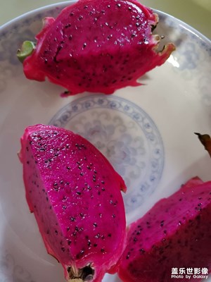 【鏡頭里的夏天】夏日滋味