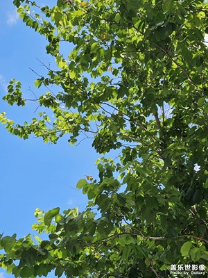 【把快樂塞進(jìn)相冊(cè)里】+夏日好時(shí)光