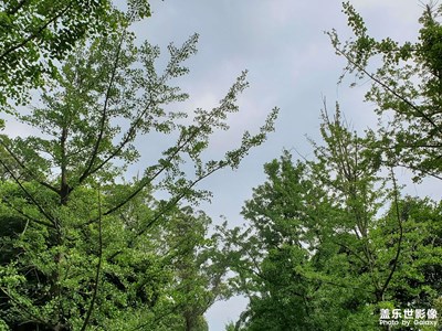 【把快樂塞進(jìn)相冊里】+時光匆匆