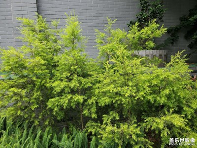 【把快樂塞進相冊里】+沿路風景