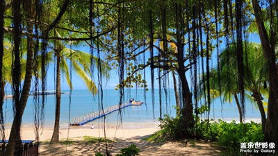 陪家人去三亞。