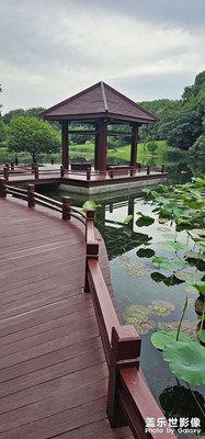 【創(chuàng)意生活】+?鏡頭里的故事