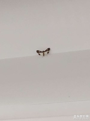 【創(chuàng)意生活】+?鏡頭里的故事