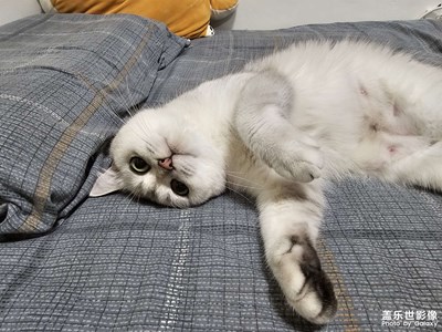 【創(chuàng)意生活】+ 鏡頭里的NeiNei