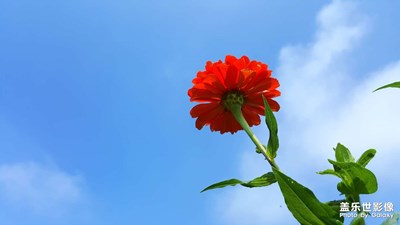 今天是彩虹??的顏色