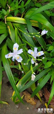 【創(chuàng)意生活】+生機勃勃