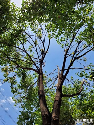 【創(chuàng)意生活】+ 燦爛陽光