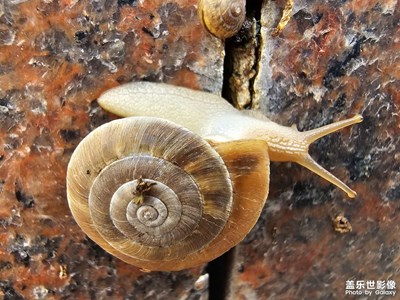 【多彩七月】+ 鏡頭里的故事