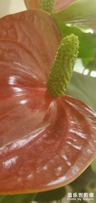 【多彩七月】+ 鏡頭里的故事