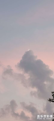 像不像天狗食月