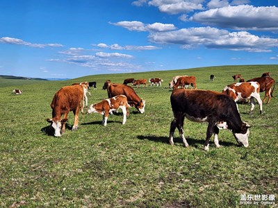 【多彩七月】+?鏡頭里的美好