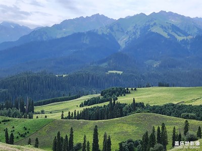 【視覺盛夏】到恰西來走一走