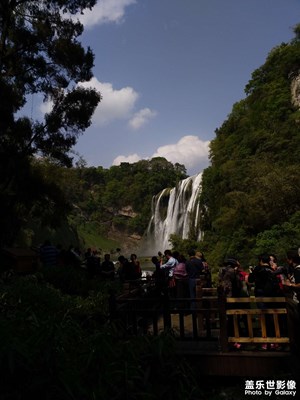 哪年的黃果樹！