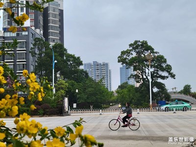 【視覺盛夏】+多彩夏天