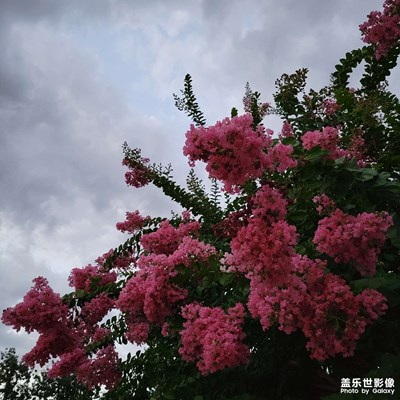 【視覺盛夏】隨機掉落日常碎片