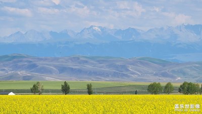 【視覺(jué)盛夏】

路邊隨拍