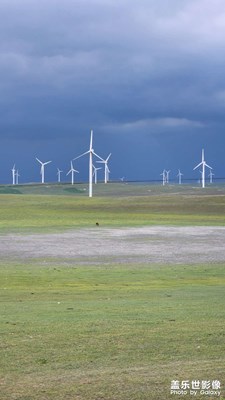 【視覺盛夏】+ 大草原