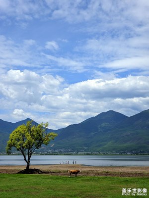 【視覺(jué)盛夏】云南避暑之旅