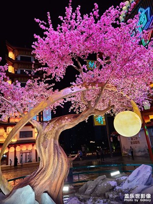 視覺盛夏+燈火闌珊新瑯琊