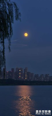 這幾天的月亮又大又圓啊
