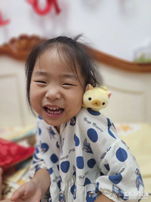 【鏡頭里的故事】+可愛的小黃貓