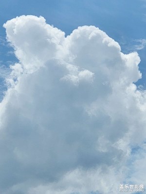 【鏡頭里的故事】上下班