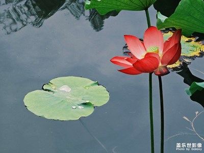 【鏡頭里的故事】其實挺美