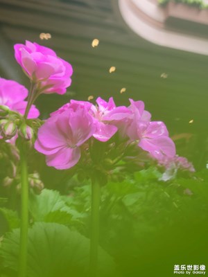 【萃取生活】+?不經(jīng)意的瞬間