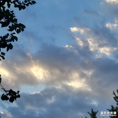 【萃取生活】初秋??