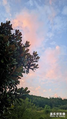 要沉穩(wěn)要長大要給自己多一點(diǎn)愛.