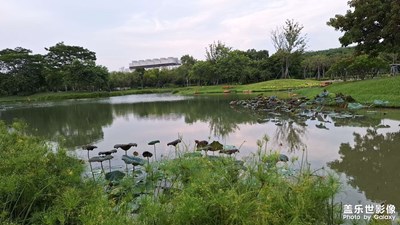 湖光山色共爭(zhēng)秋，一點(diǎn)塵埃無覓處